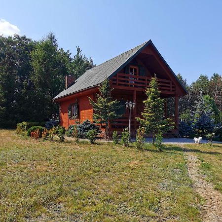 Domek Na Wsi Nad Jeziorem , Prywatny Staw Kamienczyk Dezerta Extérieur photo