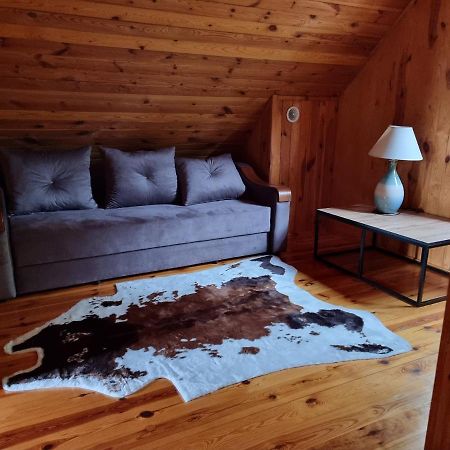 Domek Na Wsi Nad Jeziorem , Prywatny Staw Kamienczyk Dezerta Extérieur photo