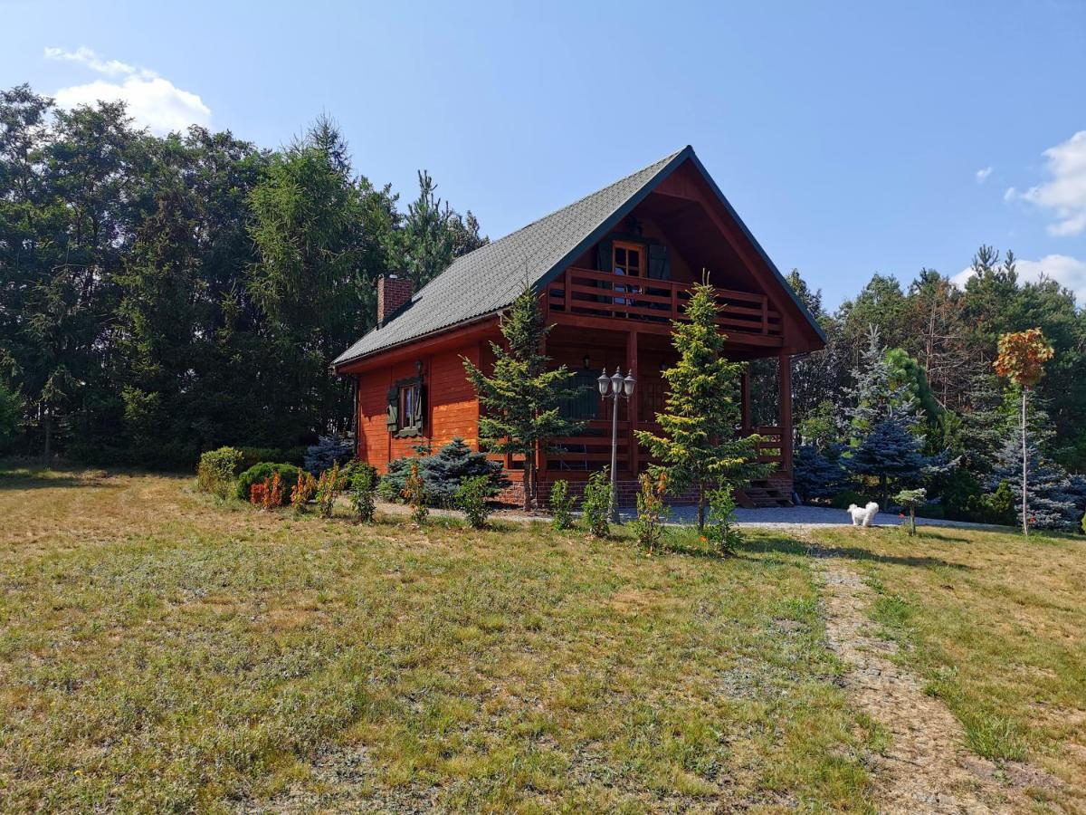 Domek Na Wsi Nad Jeziorem , Prywatny Staw Kamienczyk Dezerta Extérieur photo