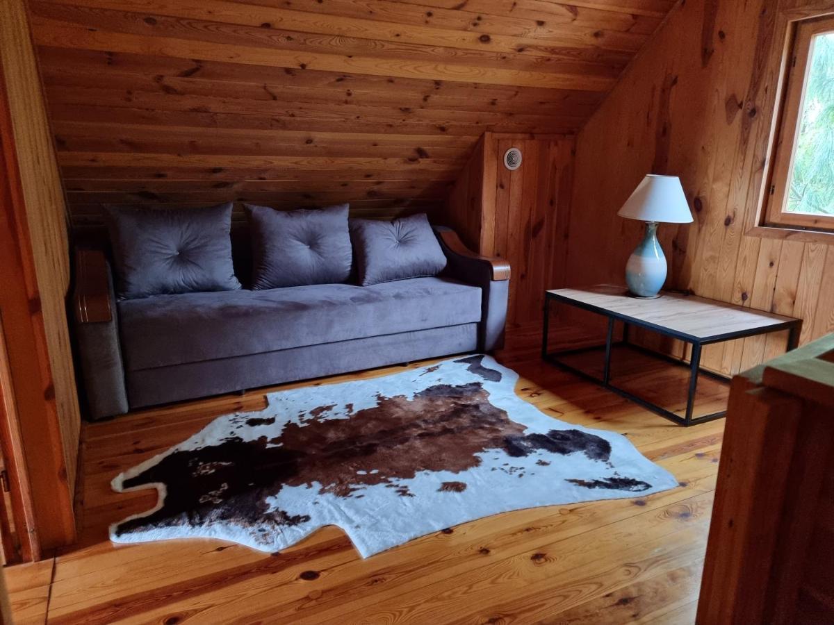 Domek Na Wsi Nad Jeziorem , Prywatny Staw Kamienczyk Dezerta Extérieur photo